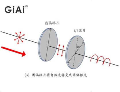 圓偏振光 圓偏振光