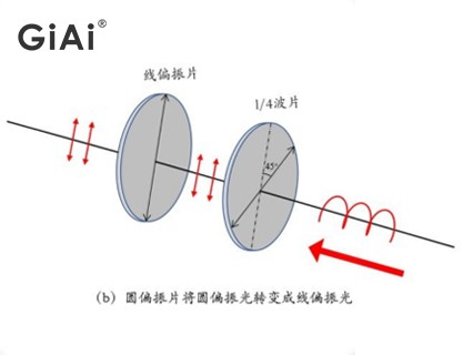 線偏振光 線偏振光
