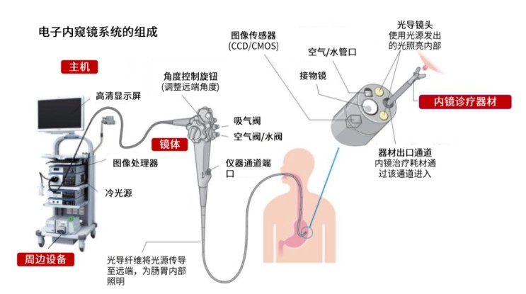 電子內窺鏡系統的組成 電子內窺鏡系統的組成