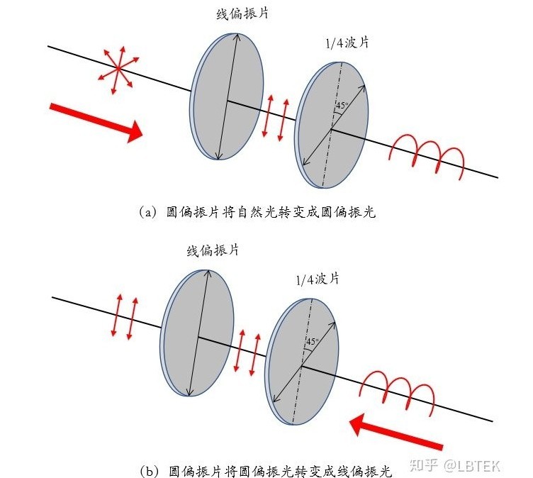 偏振片原理圖