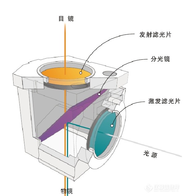 顯微鏡濾光片 顯微鏡濾光片