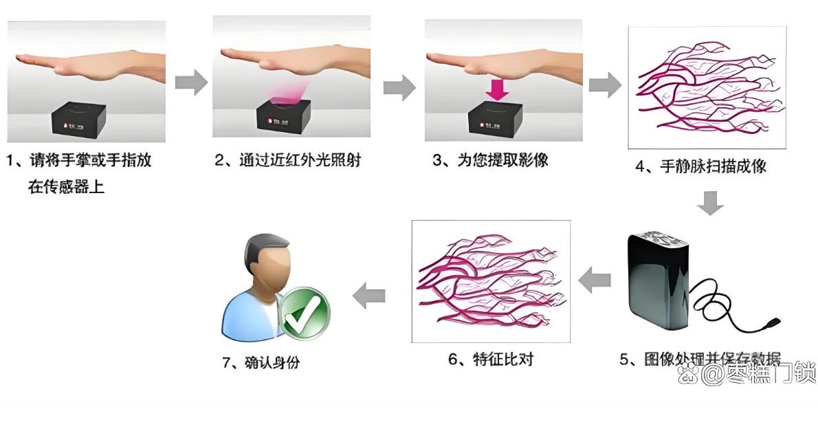 掌靜脈識別圖
