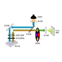 什么是熒光定量PCR、數(shù)字PCR？