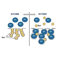 什么是化學鋼化？哪些光學鏡片可以鋼化？